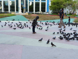 ކުޑަކުދިން އަނިޔާއިން ރައްކާތެރިކުރަން ހާއްސަ މަސައްކަތްތަކެއް ސަރުކާރުން އަންނަނީ ކުރަމުން