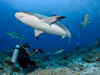 މިޔަރު ގިނަވެ މަސްވެރިންނަށް އުނދަގޫވަމުން އަންނަކަމަށް މަސްވެރިން ބުނޭ