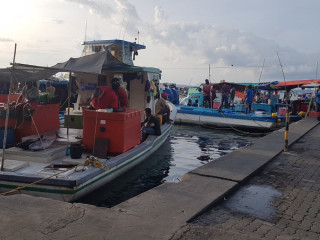 މާލެ ފަޅުގައި އޮޑި ދޯނި ފަހަރު އަޅާފައި