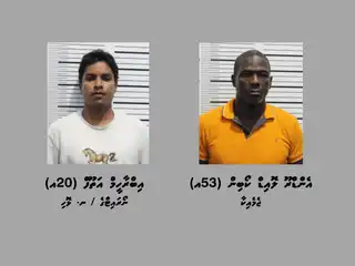 ވައިގެމަގުން ކިލޯއަކަށްވުރެ ގިނަ މަސްތުވާތަކެތި ރާއްޖެ އެތެރެކުރިކަމުގެ ތުހުމަތުގައި ހައްޔަރުކުރި ދެ މީހުން
