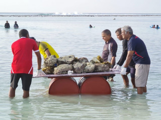 މެންބަރު ނިޔާޒްގެ އިސްނެންގެވުމުގެ މަތިން ހުޅުމާލޭ ޓްރެކް ސަރަހައްދު ސާފު ކުރަނީ