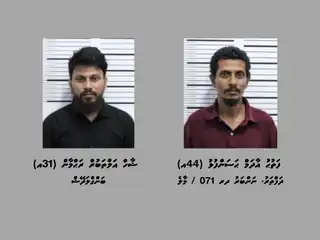 ތިން ކިލޯއަށް ވުރެ ގިނަ މަސްތުވާތަކެއްޗާއެކު ހައްޔަރުކުރި ދެ މީހުން. 