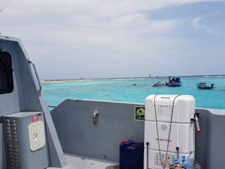 ދޯންޏެއް އަޑިއަށް ގޮސްގެން އެމްއެންޑީއެފުން ހަރަކާތްތެރި ވަނީ
