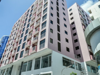 ގާކޮށި ފްލެޓު