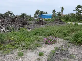 Hanimaadhoo Safe Zone Area.