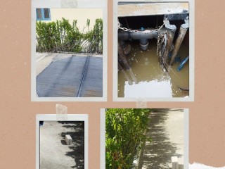 ޖަންގްޝަން ވަޅުގަނޑާއި އެ ގޯތި 