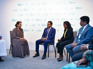 Minister of Climate Change and Environment of UAE called on VP Naseem on Tuesday