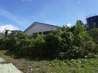 ރައީސް މުއިއްޒު ވެރިކަމާ ހަވާލުވެވަޑައިގެންނެވި އިރު 70 އިންސައްތަ މަސައްކަތް ނިމިފައިވާ ރަސްމާދޫ ފެންޕްޓްލާން: މަސައްކަތް ހުއްޓި އެ ސަރަހައްދުގައި މިހާރު ވަނީ ބޯކޮށް ޖަންގަލި ހެދިފަ. 