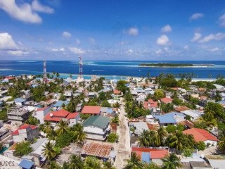 ދ. މީދޫ - 200 ގޯތި ދޫކުރުމަށް ނިންމާފައިވޭ