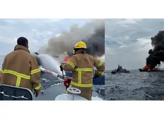 މަސް ދޯންޏެއްގައި އަލިފާނުގެ ހާދިސާ އެއް ހިނގުން