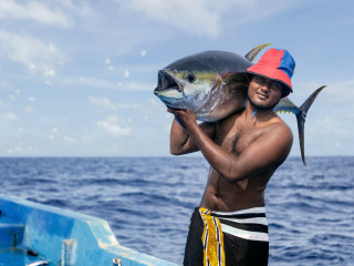 މި ޒުވާނާއާއިއެކު މަވެސް ބޭނުންވަނީ މަހަށް ދާން