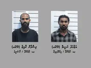 މާމެންދޫން ގިނަ އަދަދެއްގެ މަސްތުވާތަކެތި ހޯދައި ދެ މީހަކު ހައްޔަރުކޮށްފި