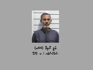 ތިންލައްކަ އަށްވުރެ ގިނަ ރުފިޔާހުރި ފޮއްޓެއް ވަގަށް ނެގި މައްސަލައާ ގުޅިގެން ހައްޔަރުކުރި މީހާ