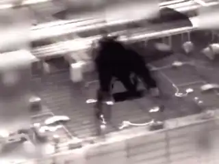 އޮލީނާ ނަމަކަށް ކިޔާ ތެޔޮ ޓޭންކަރެއް އެމެރިކާ ސިފައިންގެ ބާރުގެ ދަށަށް ގެނެސްފި