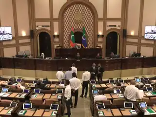 ނާޒިލްގެ ނަން އިއްވުމާއެކު އެވަގުތު ތަޅުމުގައި ތިބި އެމްޑީޕީގެ ބާކީ 8 މެންބަރުން ވެސް ވަނީ އިހުތިޖާޖު ކޮށްފަ. ބުދަ ދުވަހުގެ ޖަލްސާގައި އެމްޑީޕީ ގެ 9 މެންބަރުންގެ ނަން އިއްވާފައިވޭ