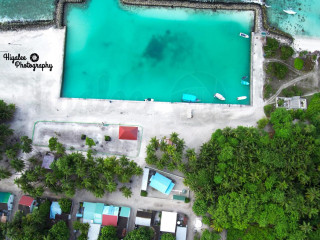 ރ. ކިނޮޅަސް