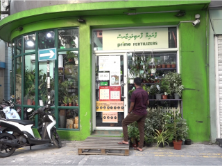 ޕްރައިމް ފާޓިލައިޒާސް