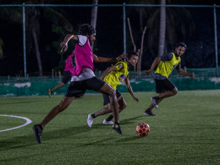 ރެޑްބުލް ވިނިންގް ފައިވް