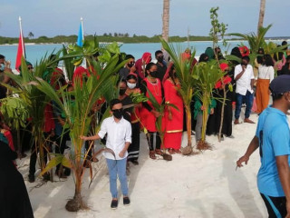 ގަސް އިންދުމުގެ ޕްރޮގްރާމުގެ ތެރެއިން