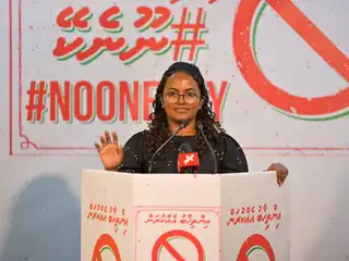 Parliamentary standards have fallen below zero due to political influence, says Shauna