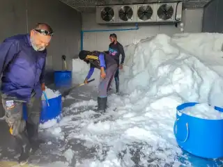 Fishermen purchasing ice from a MIFCO center: Local fishermen are facing significant challenges following MIFCO's decision to impose limits on ice sales.