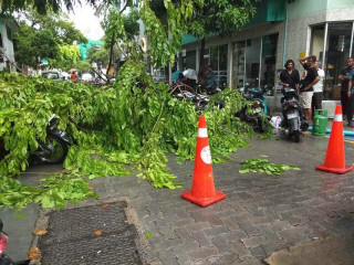 ނޮވެލްޓީ ކުރިމައްޗަށް ގޮފިގަނޑެއް ވެއްޓި މީހަކަށް ވަނީ އަނިޔާވެފައި