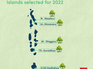 Bank of Maldives Selects Islands for its Fehi Project