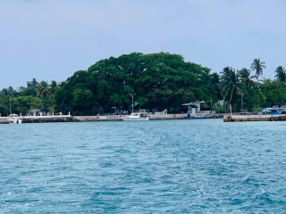 ގދ. ހޯނޑެއްދޫ