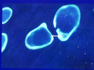 \"Dhiyanaru 2\" lagoon