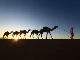 ސައުދީ އަރަބިއްޔާގެ ވެރިރަށް ރިޔާޟް އާ ގާތްގަނޑަކަށް 1500 ކިލޯމީޓަރު ދުރުގައި އޮންނަ ތަބޫކް ސިޓީ ކައިރީގައި ހުރި ތަމްރީނު މަރުކަޒަކުން، 2016 ވަނަ އަހަރުގެ އޭޕްރީލް މަހުގެ 1 ވަނަ ދުވަހު ސައުދީ ފިރިހެނަކު ޖަމަލުތަކެއް ގޮވައިގެން ހިނގާފައި ދަނީ.