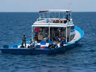 މަސްވެރިކަމުގައި ހަރަކާތްތެރިވާ ދޯންޏެއް