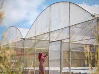 Hydroponic farming introduced in B. Kihaadhoo under BML Small Grants