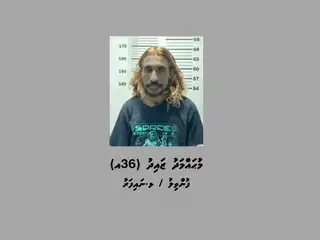 މި މައްސަލައާ ގުޅިގެން ފުލުހުންގެ ބެލުމުގެ ދަށަށް ގެނެސްފައިވަނީ ޅ. ނައިފަރު، ފުންވިލު، ޒައިދު މުހައްމަދު