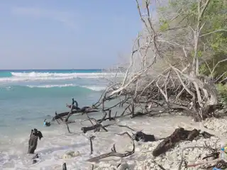 ކެނދިކުޅުދޫ ފުއްޓަރު ގިރައިގެން ދިއުން ހައްލުކޮށްދެއްވާނެ ކަމަށް ރައީސް މުއިއްޒު 2 ފަހަރު ވިދާޅުވެއްޖެ، އަދި ވީ އެއްކަމެއްވެސް ނެތް!