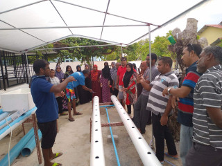 ހައިޑްރޮފޯނިކްސް އާއި ގުޅޭ ތަމްރީނު ދިނުމުގެ ޕްރޮގްރާމް މުލީގައި ކުރިއަށް ގެންދަނީ - މިގޮތަށް އެކި ރަށްރަށުގައި ސަރުކާރުން މިފަދަ ޕްރޮގްރާމްތައް ކުރިއަށް ގެންދާނެ