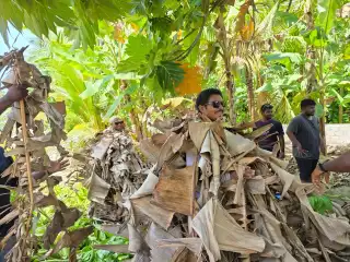 Kamadhoo Eid Ufaa 1446 - Faiy Maali Parade
