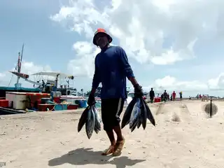 މަހުގެ އަގާ ބެހޭ ގޮތުން މަސްވެރިންގެ ދުވަހުގެ ޖަލްސާގައި ފިޝަރީޒް މިނިސްޓަރ ޝިޔާމު ދެއްކެވި ދެއުޅި އެއްނުވާ ވާހަކަތަކުގެ ހަގީގަތް މިއޮތީ!