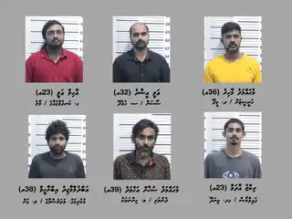 ގިނަ އަދަދެއްގެ މަސްތުވާތަކާއްޗާއެކު މާލެއިން ހައްޔަރު ކުރި ހަ މީހުން. 