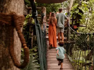 November 2025 sees 12.4 percent spike in arrivals year-on-year