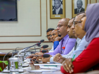 އިލެކްޝަންސް ކޮމިޝަންގެ ބައެއް މެމްބަރުން، ރައްޔިތުންގެ މަޖިލީހުގެ ކޮމެޓީއެއްގައި