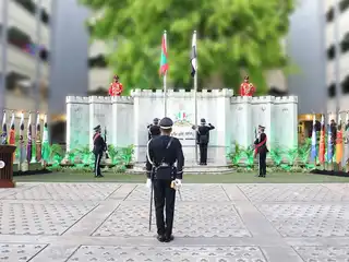 ސިފައިންގެ ދުވަހުގެ ދިދަ ނެގުމުގެ ޚާއްޞަ ރަސްމިއްޔާތު