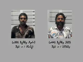 ޑައިމޯފިން ޓްރެފިކްކުރުމުގެ ކުށް ސާބިތުވެ ޖަލަށްލި ދެމީހުން.