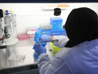 އައިޖީއެމްއެޗްގެ ލެބޯޓަރީގައި ކޮވިޑް-19 އަށް ޓެސްޓު ކުރުމުގެ މަސައްކަތުގައި ލެބް ޓެކްނިޝަނަކު ހަރަކާތްތެރިވަނީ