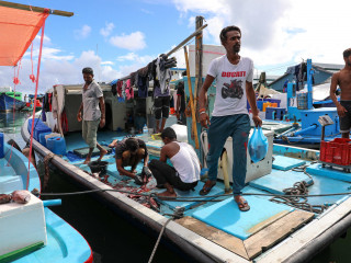 މަސްވެރިން މަސްވިއްކަނީ. 