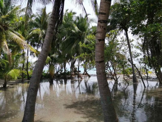 ރާއްޖޭގެ ރަށަކަށް އުދަ އަރާފައި