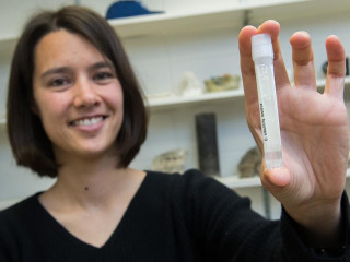 ޕްރޮފެސަރ ކްލެއަރ ބްލެޓްލަރ އައިސްއޭޖް ދުވަސްވަރުގެ ލޮނުގެ ސާމްޕަލެއް ހިފައިގެން