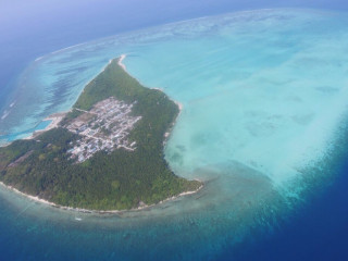 ށ. ބިލެތްފަހި