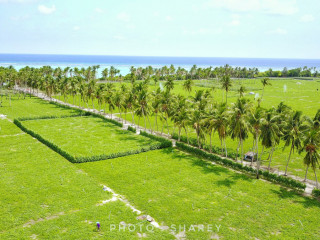 ކާބޯތަކެތީގެ ރައްކާތެރިކަން އެއްވެސް ސަރުކާރަކަށް މުހިންމު ނުވަނީބާ؟