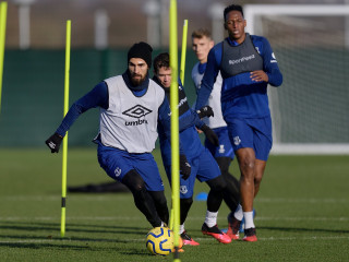 ގޯމޭޒް އެނބުރި ފަރިތަކުރުންތަކަށް