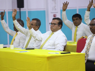 އެމްޑީޕީ ޕީޖީގައި ހިމެނިވަޑައިގަންނަވާ ބައެއް މެމްބަރުން